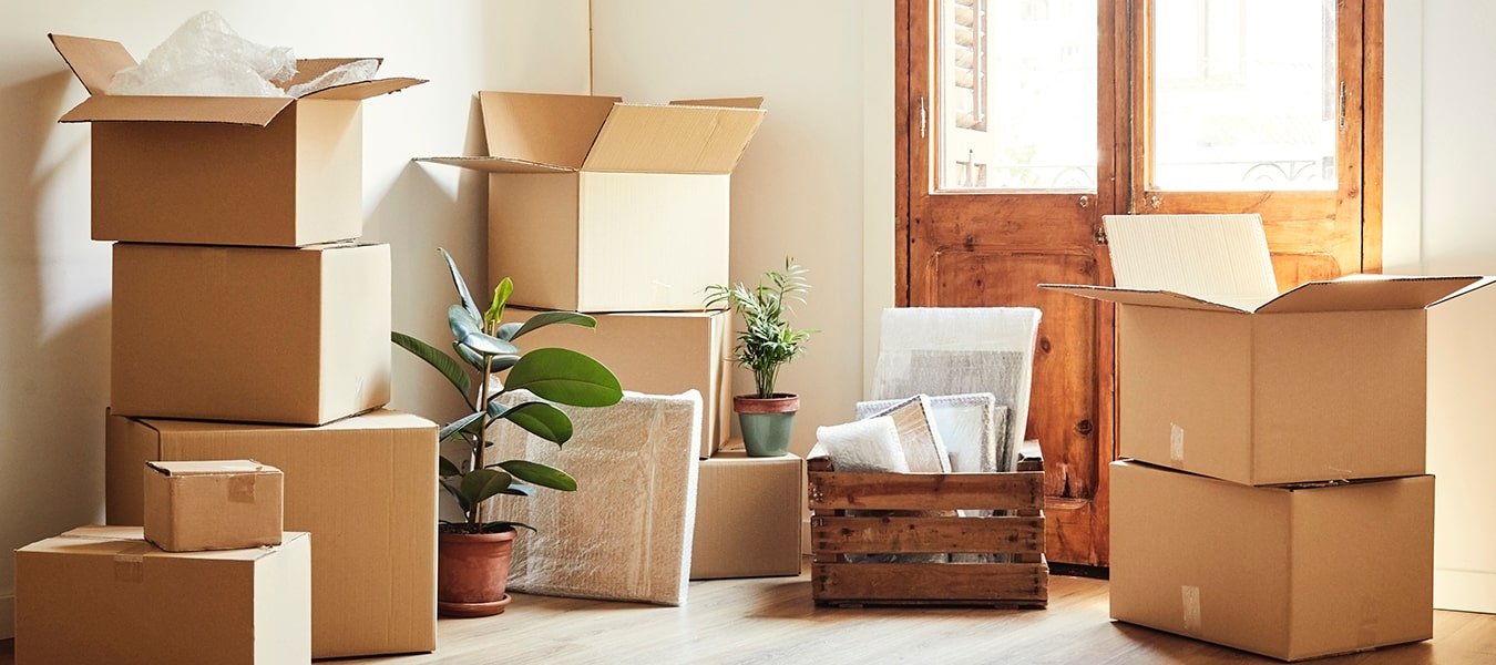 Apartment Movers